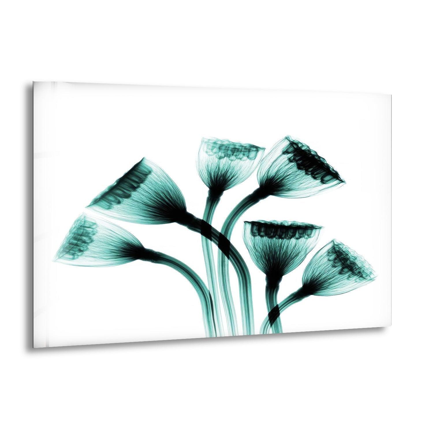 Albert Koetsier Lotus Seedheads Glass Wall Art - Elegant Handcrafted Floral Decor for Living Room, Bedroom & Office - Perfect for Home & Office Decorations
