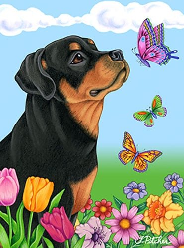 Premium Rottweiler Butterfly House Flag - Durable Outdoor Decorative Garden Flag for Dog Lovers - Perfect for Front Yard, Porch, and Patio Decor