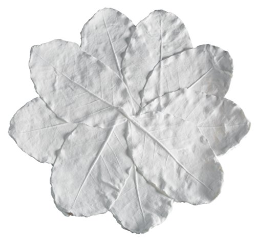 Pure White Lily
