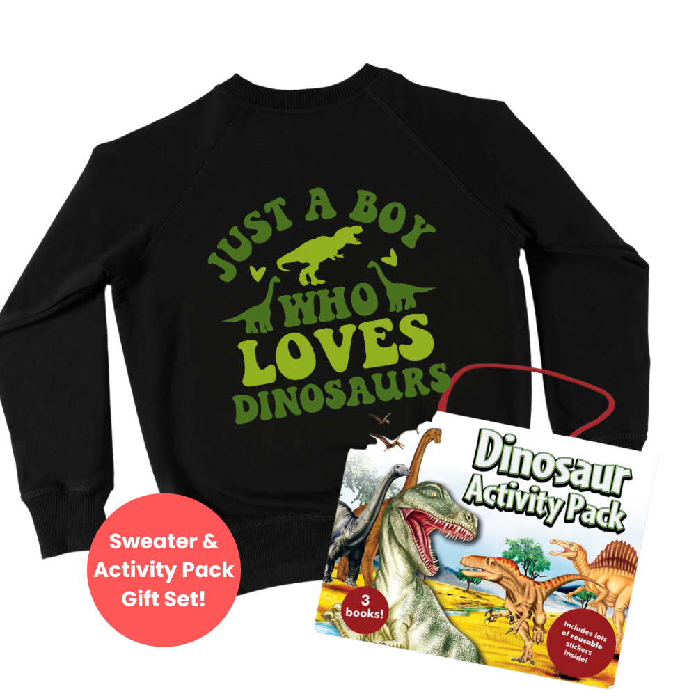 Dinosaur Lover Sweater & Activity Pack Gift Set for Boys - Perfect for Birthday, Christmas & Dino-Themed Parties
