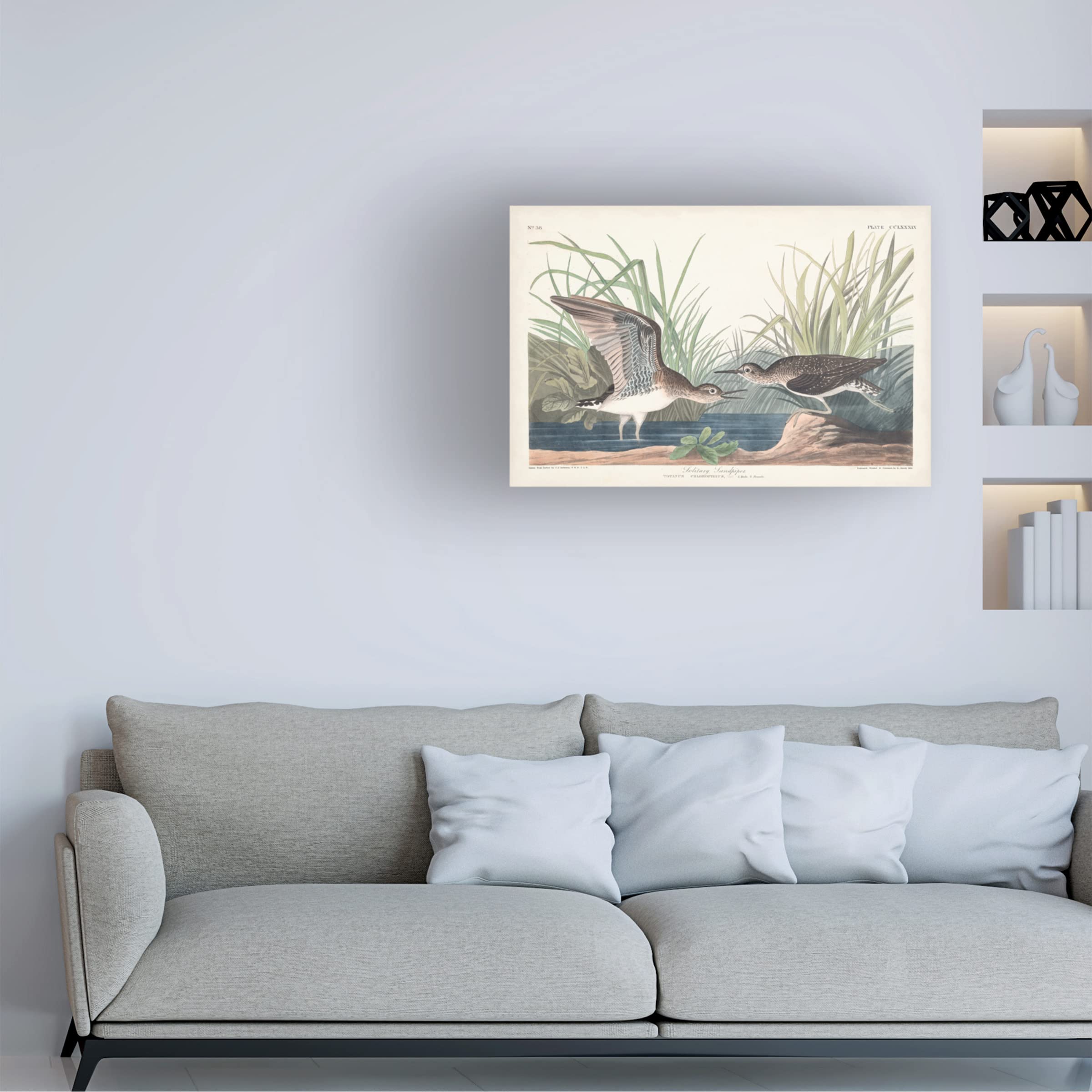 John James Audubon 'Solitary Sandpiper' Canvas Art Print - 22x32 Inches - Wildlife Bird Wall Decor for Living Room, Bedroom & Office - Trademark Fine Art Collection