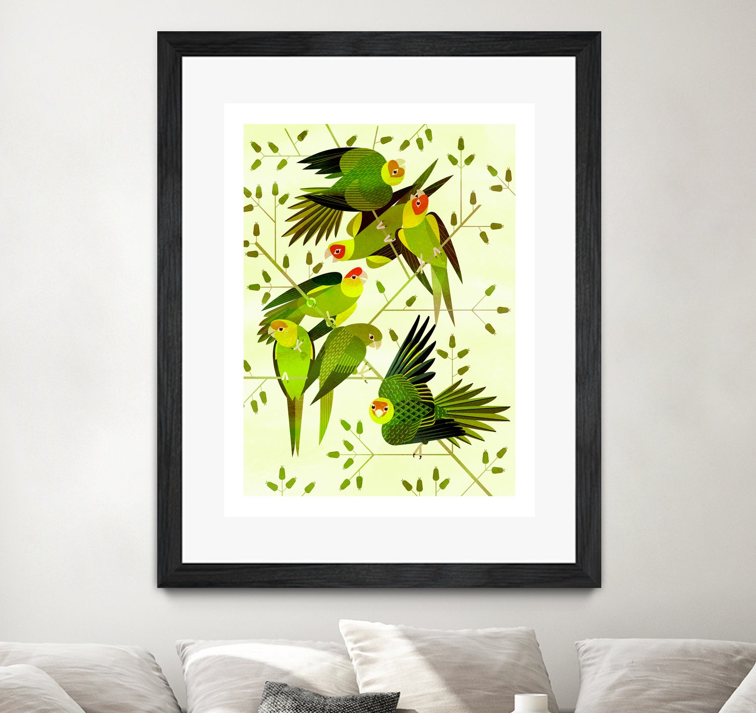 Carolina Parakeet - Colorful Exotic Bird for Pet Lovers | Perfect for Home Aviaries & Bird Enthusiasts
