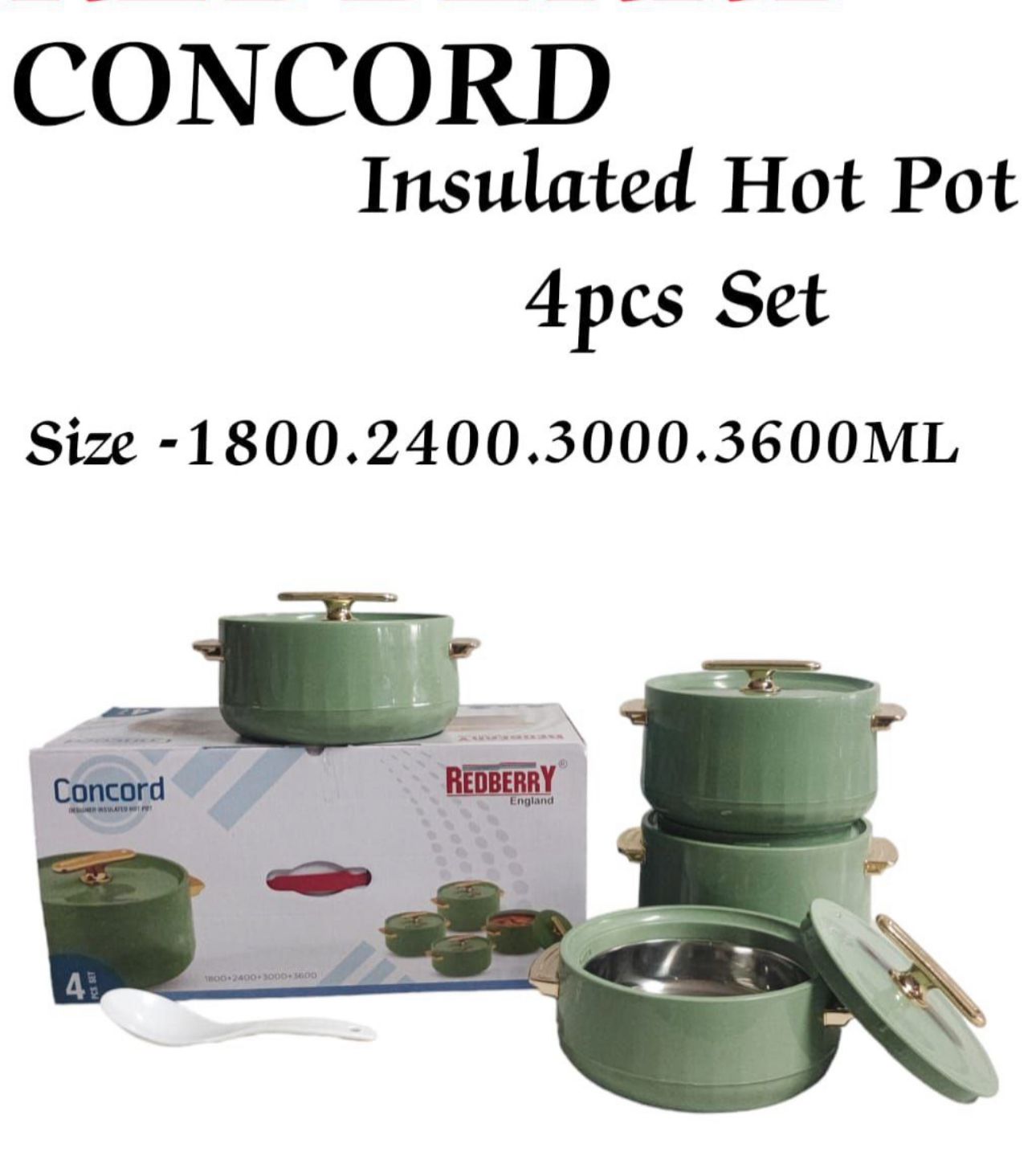 Insulated Hot Pot - 3L Stainless Steel Double Wall Vacuum Insulated Food Container for Soup, Stew & Rice - Perfect for Camping, Picnics & Office Lunch (Concord)