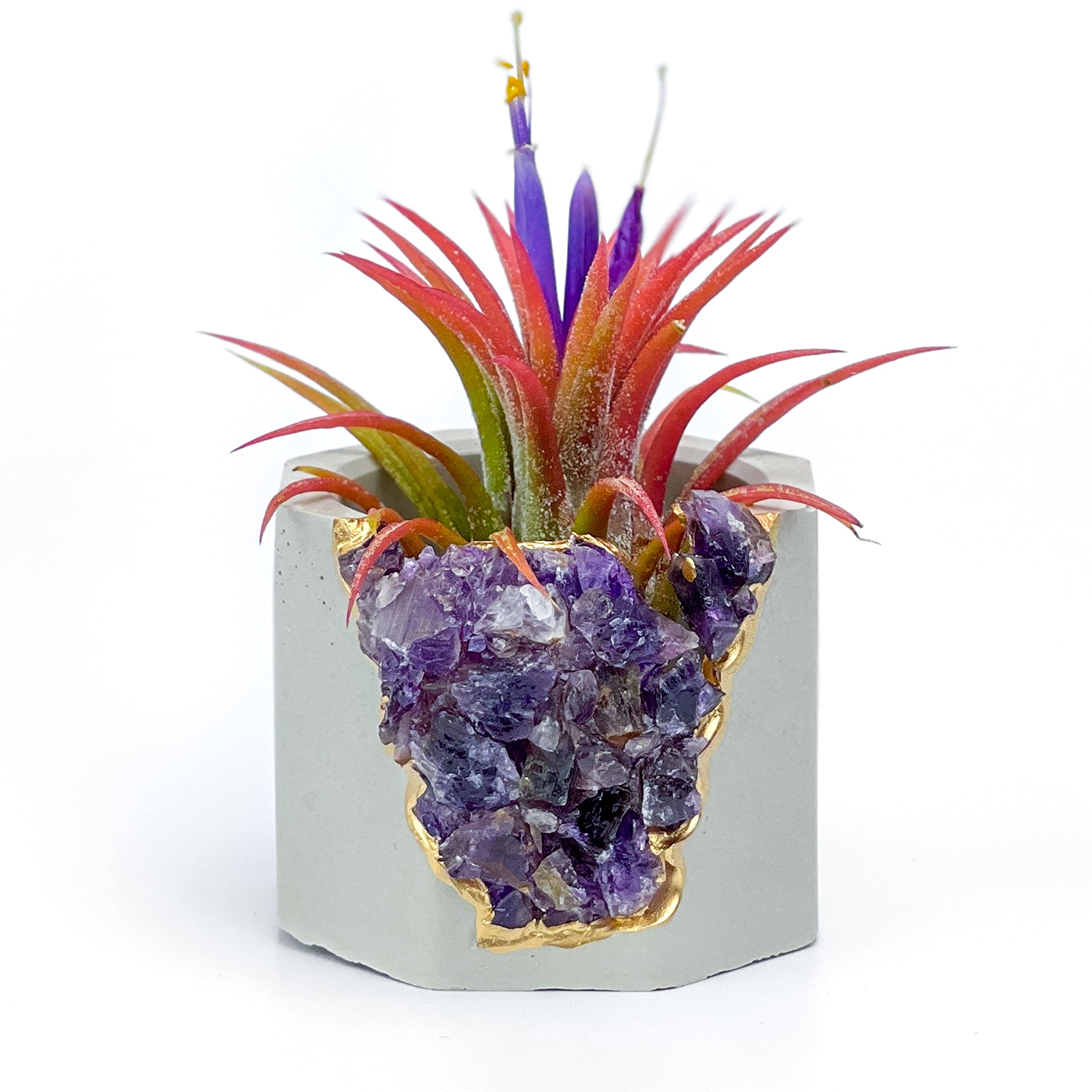 Geode Planter - Unique Air Plant Holder with Raw Amethyst Crystal | Mini Succulent Pot in Purple & Gold | Small Cactus Planter & Healing Crystal Candle Holder for Home Decor, Office Desk, Meditation Space & Gift Ideas