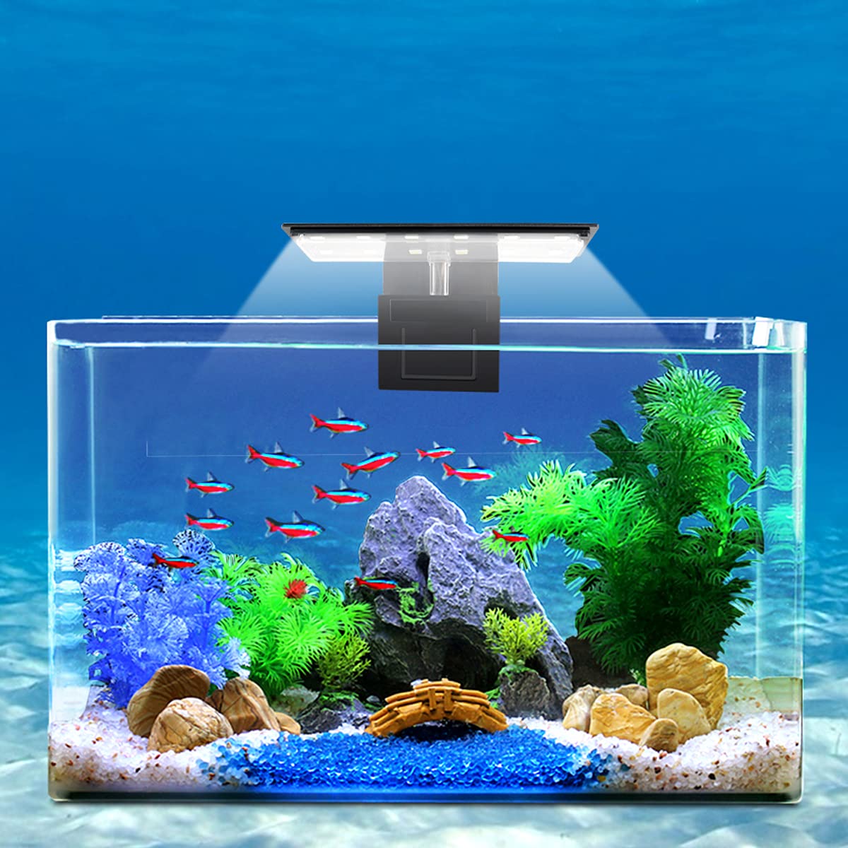 WEAVERBIRD 6W LED Aquarium Light with 12 LEDs for Planted Fish Tanks - Clip-On Lamp Fits 8-15 Inch (6mm Thick) Aquariums | Perfect for Freshwater Plant Growth & Fish Tank Lighting