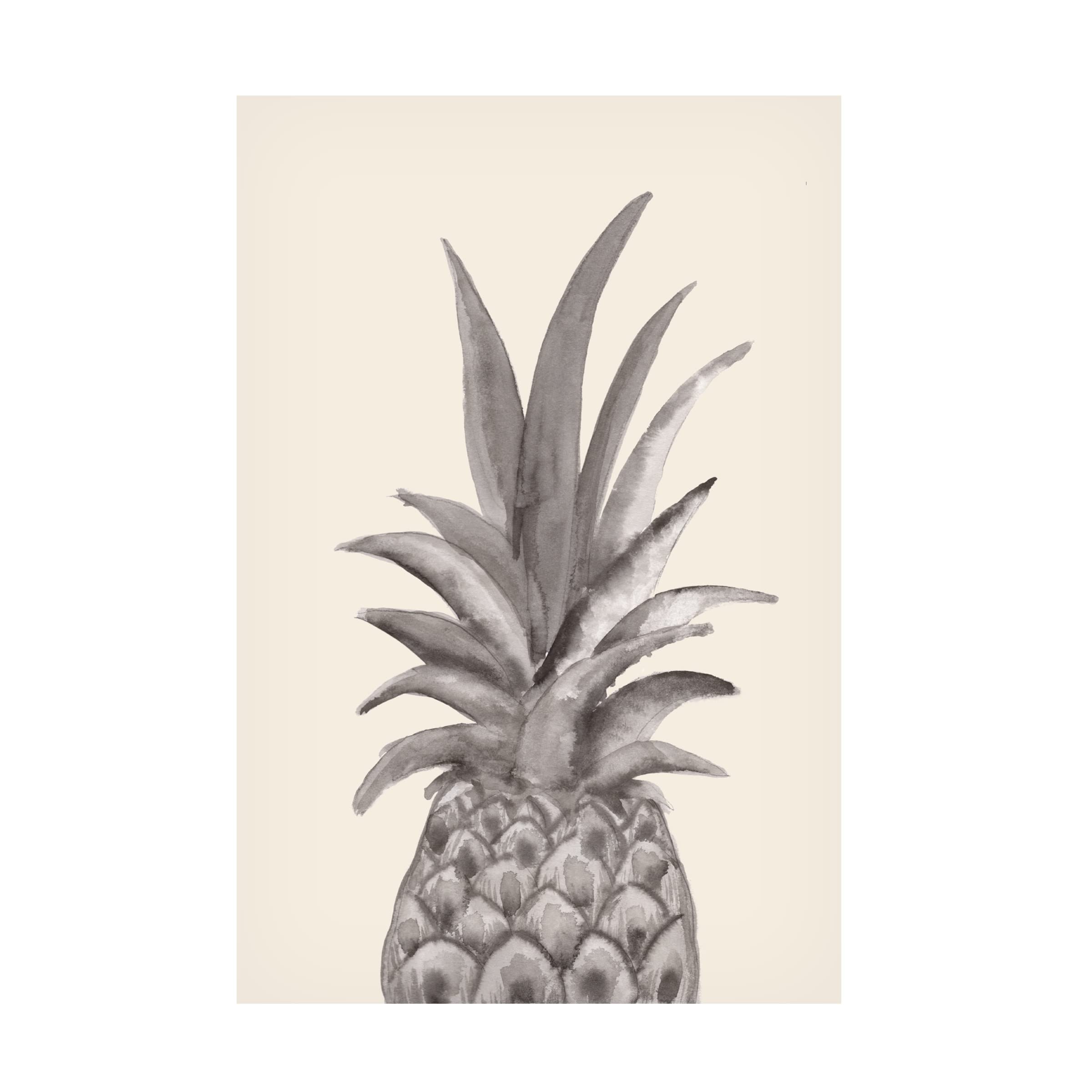 1X Studio Ink Pineapple Canvas Wall Art Print - Modern Home Decor for Living Room, Bedroom & Office - Premium Trademark Fine Art