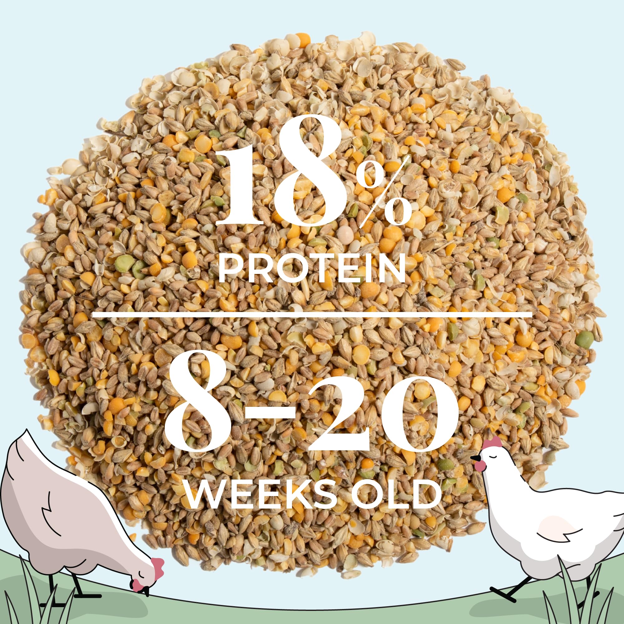 Organic Chicken Feed – Non-GMO, USA Grown, Whole Grain Grower Feed with 18% Protein, Corn-Free & Soy-Free, Non-Medicated Poultry Food (23 lbs) – Perfect for Backyard Chickens, Hens & Roosters
