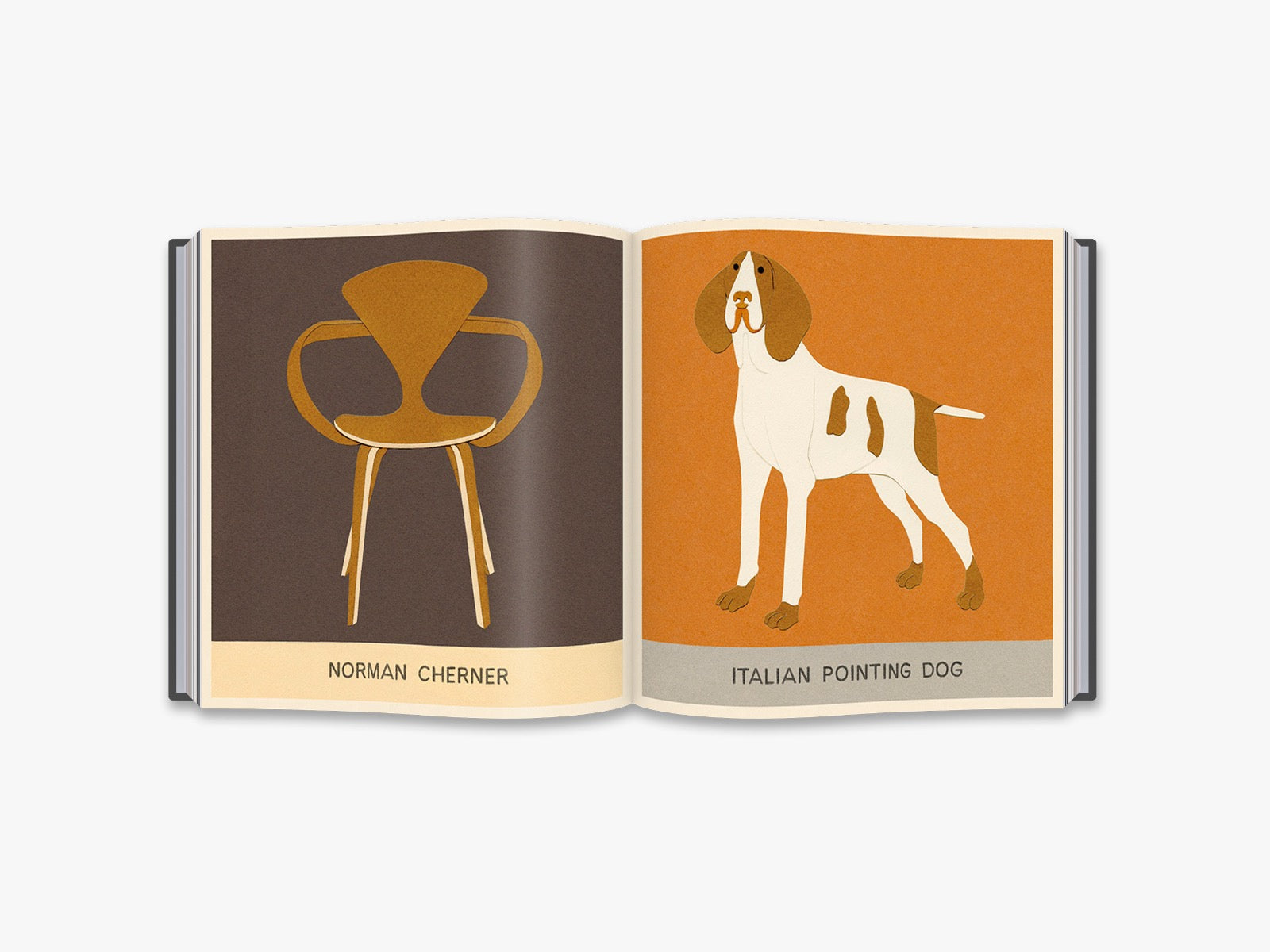 Durable and Comfortable Dog Chairs for Small, Medium & Large Breeds - Perfect for Indoor & Outdoor Use, Pet Beds & Lounging