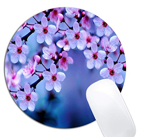 Beautiful Flowers