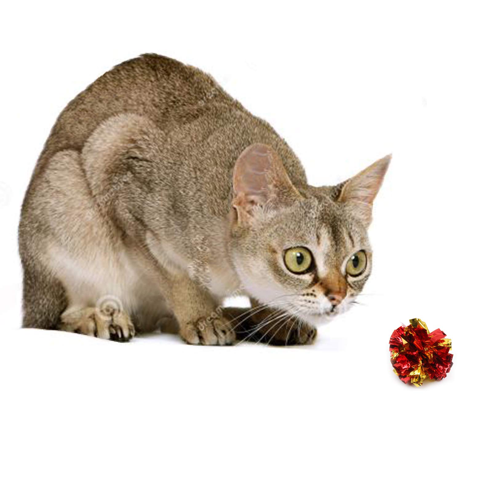 ICObuty Crinkle Balls Cat Toys - 20 Pack Lightweight Spring Toys with Mylar Rustling Sound (1.5-2 Inches) - Interactive Play for Cats, Kittens & Small Dogs - Random Colors - Perfect for Indoor Play, Exercise & Stimulation
