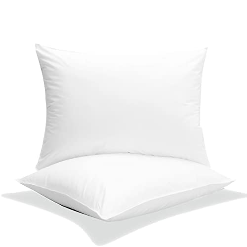 Premium Down Alternative Pillows for Side & Back Sleepers - Queen Size 20x30, Ultra Soft & Supportive Fiber Filling, White Hotel Luxury Pillow Set of 2 - Perfect for Bedroom, Guest Room & Airbnb Comfort