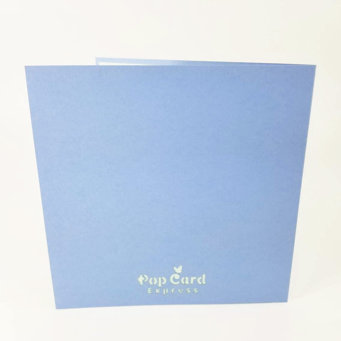 3D Dragonfly Pop Up Greeting Card - Birthday, Mother's Day, Just Because Cards for Son, Daughter & Kids | Unique Handmade Gift for Special Occasions & Home Decor