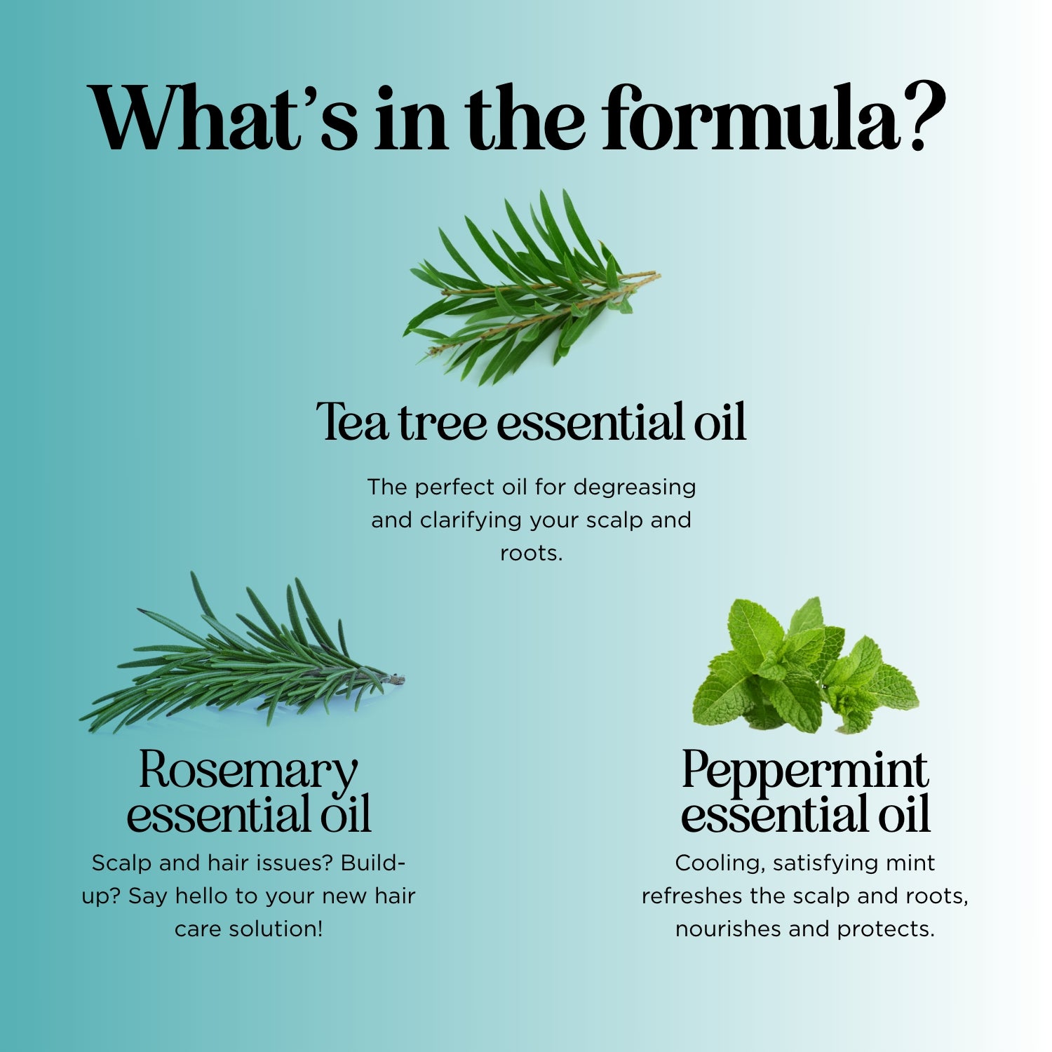 Tea Tree & Peppermint Shampoo for Oily Scalp & Dandruff Control - Refreshing & Soothing Hair Care for Daily Use