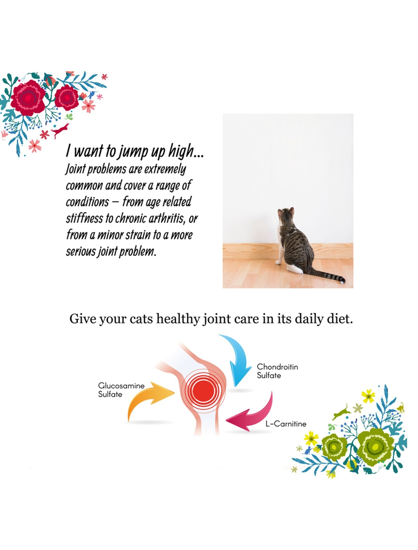 Cherie Complete & Balanced Tuna with Tomato in Gravy - Healthy Joint Support Wet Cat Food 80g (12 Pack) | High Protein, Grain-Free Recipe for Adult & Senior Cats | Perfect for Mealtime or as a Tasty Treat