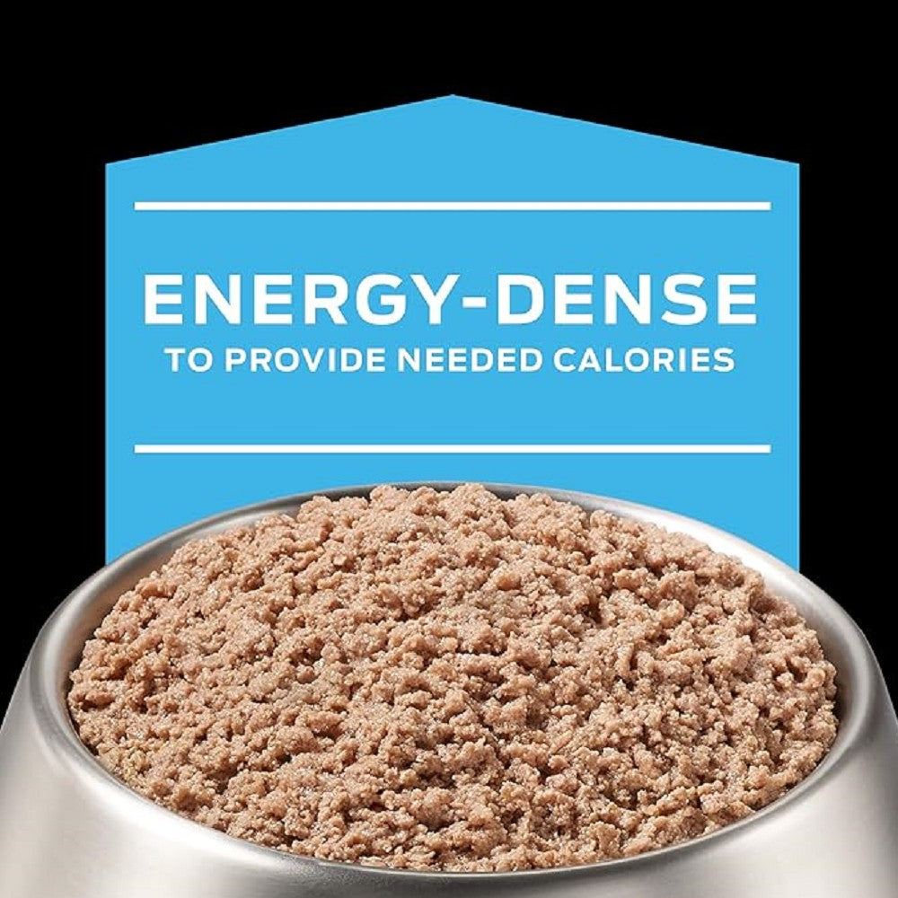 Pro Plan Veterinary Diets CN Critical Nutrition Canned Food for Dogs & Cats - Premium Recovery Diet for Post-Surgery & Illness Recovery