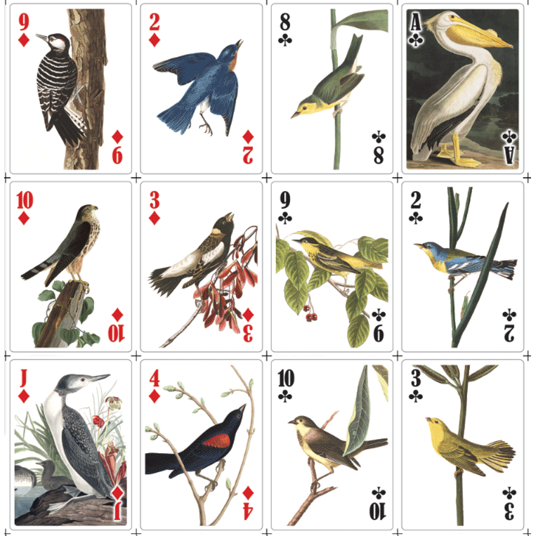3D Bird Playing Cards - Premium 52 Deck with Unique Avian Designs | Perfect for Magic Tricks, Poker Nights & Family Game Evenings