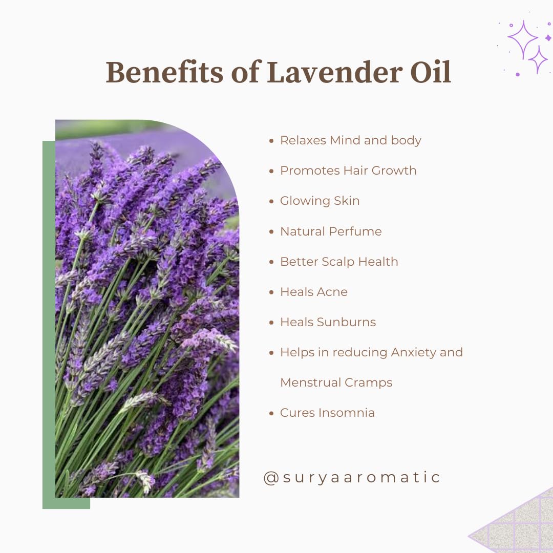 15ml Lavender Essential Oil by Surya - 100% Pure Natural Organic Aromatherapy Oil for Clear Skin & Healthy Hair Care | Calming Soothing Treatment for Face, Scalp & Body | Perfect for Massage, Diffusers & DIY Beauty Products