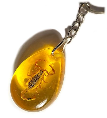 Golden Scorpion in Amber Color Lucite