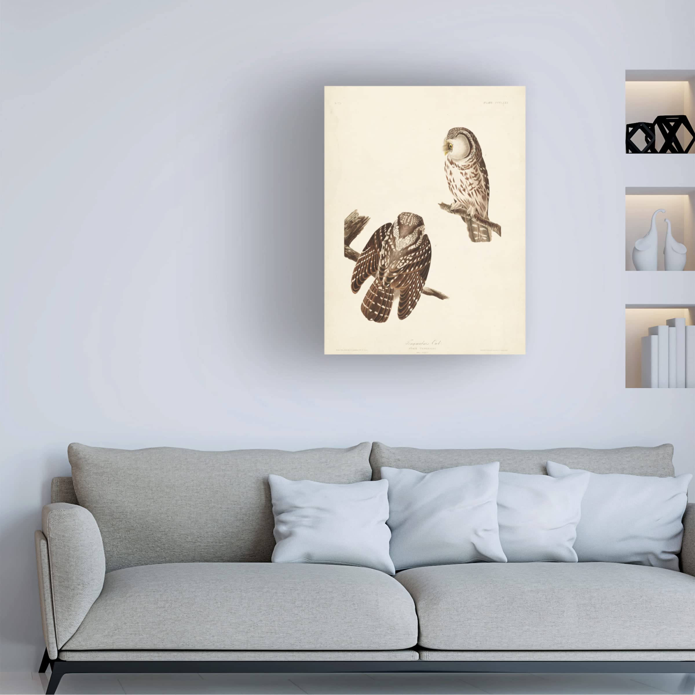 Trademark Fine Art 'Tengmalms Owl' Canvas Wall Art Print by John James Audubon - 24x32 Inches - Nature Wildlife Bird Decor for Living Room, Bedroom & Office