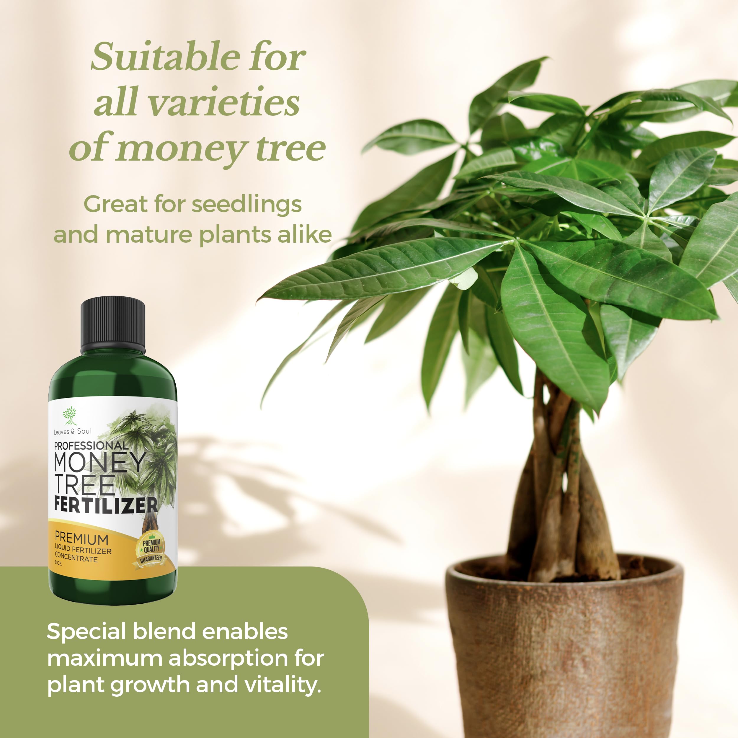 Premium Liquid Money Tree Fertilizer 3-1-2 Concentrate - All-Purpose Plant Food for Indoor & Outdoor Plants, Flowers, Trees - 8oz Bottle Gardening Supplies - Perfect for Home, Office, and Garden Use