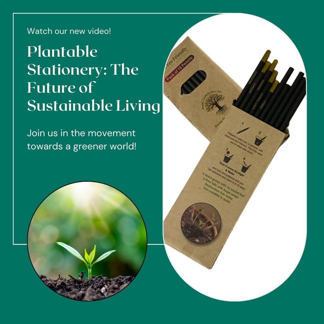 Eco-Friendly Plantable Seed Pencils - 300 Count Black Biodegradable Writing Utensils for Birthday Party Favors, Corporate Gifts & Office Supplies | Sustainable School & Office Use