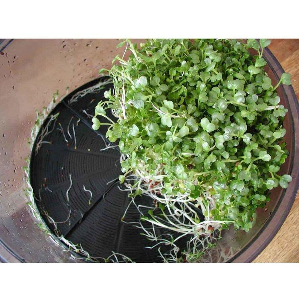 Tribest Freshlife FL 3000 Automatic Sprouter - Organic Seed Sprouting Kit for Healthy Living | Perfect for Home Gardening, Vegan Diets & Raw Food Preparation