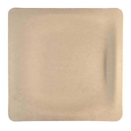 World Centric SQ-SC-9 100% Compostable Unbleached Plant Fiber Square Plates, 9 Inch Eco-Friendly Disposable Plates (Pack of 500) - Perfect for Parties, Picnics & Sustainable Events