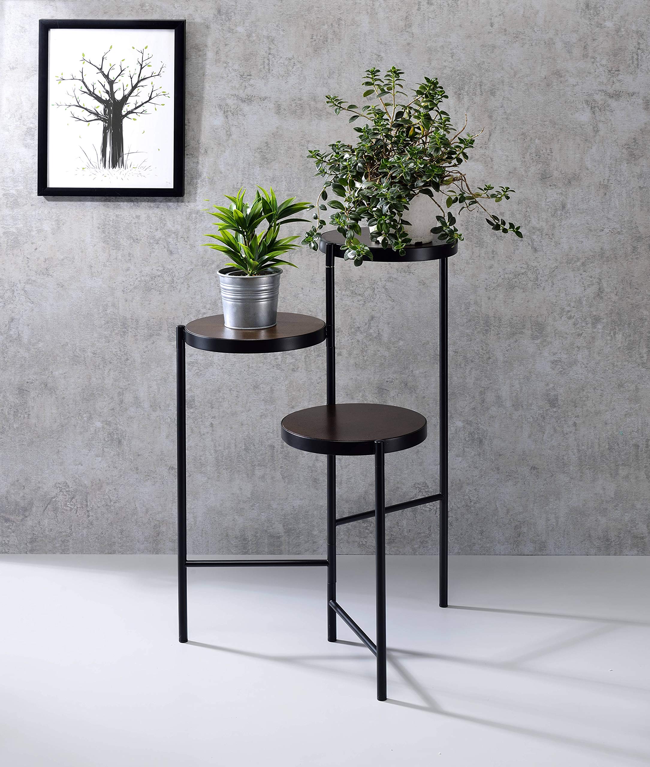 ACME Furniture Black Namid Plant Stand - Modern Indoor & Outdoor Plant Holder for Home, Garden, and Patio Decor
