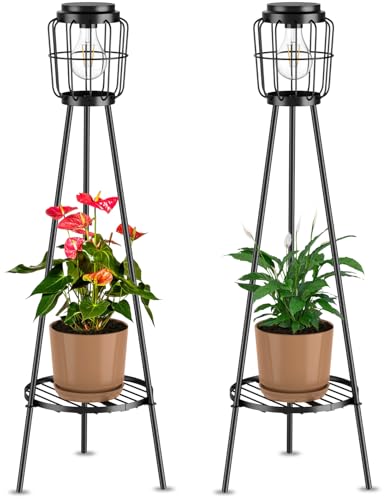 36'' Edison Bulb - 2 Pack