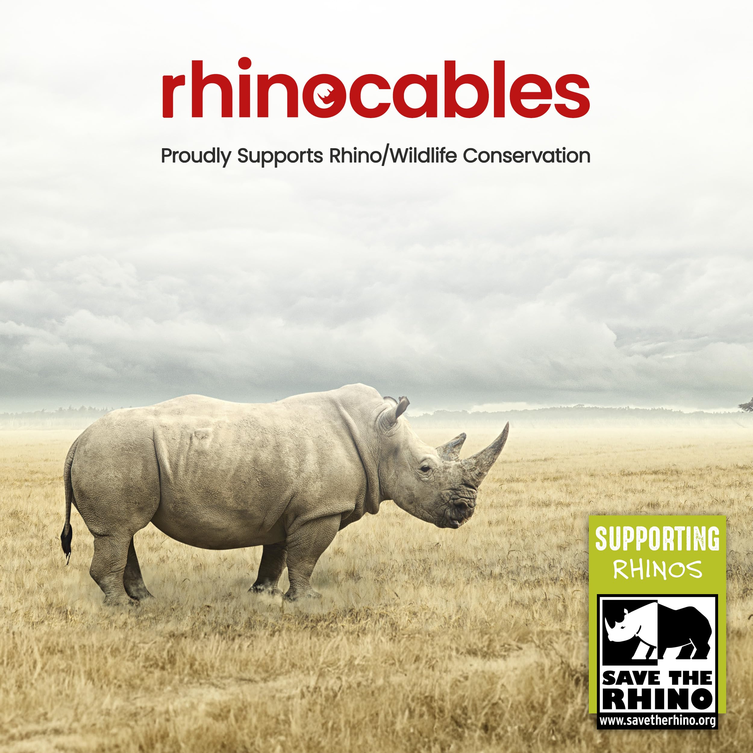 Rhinocables USB 2.0 A Male to Male Cable - High Speed Durable USB A to USB A Cord | 480Mbps Data Transfer, Universal Compatibility for Printers, Keyboards, Scanners, Hard Drives, Cameras | Perfect for Home Office, Gaming Setup & Computer Accessories (1.8m/6ft, Single Pack)