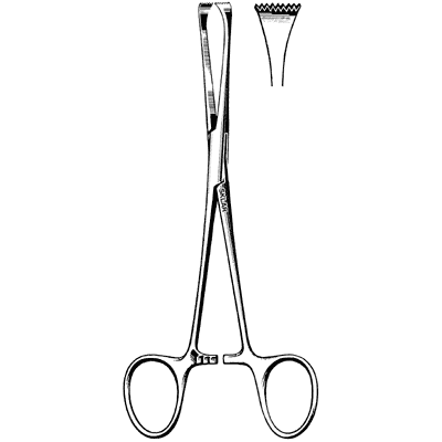 Allis Adair Tissue Forceps 6.5 Inch Surgical Clamp - Premium Stainless Steel Medical Instrument for Wound Closure & Surgical Procedures