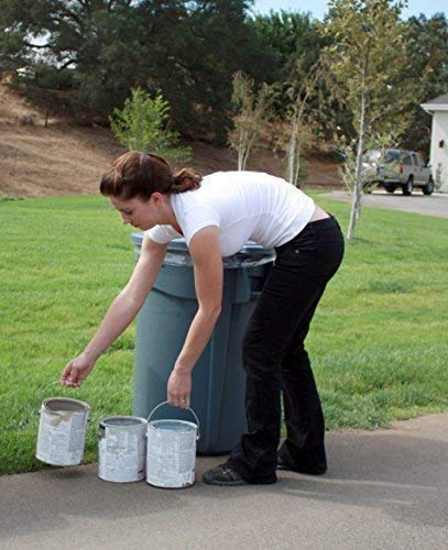 Rock Solid Paint Hardener (4 Gallon Pail) - Fast Drying Paint Hardener for Oil & Latex Paints | Ideal for Paint Disposal, Workshop Cleanup & DIY Projects