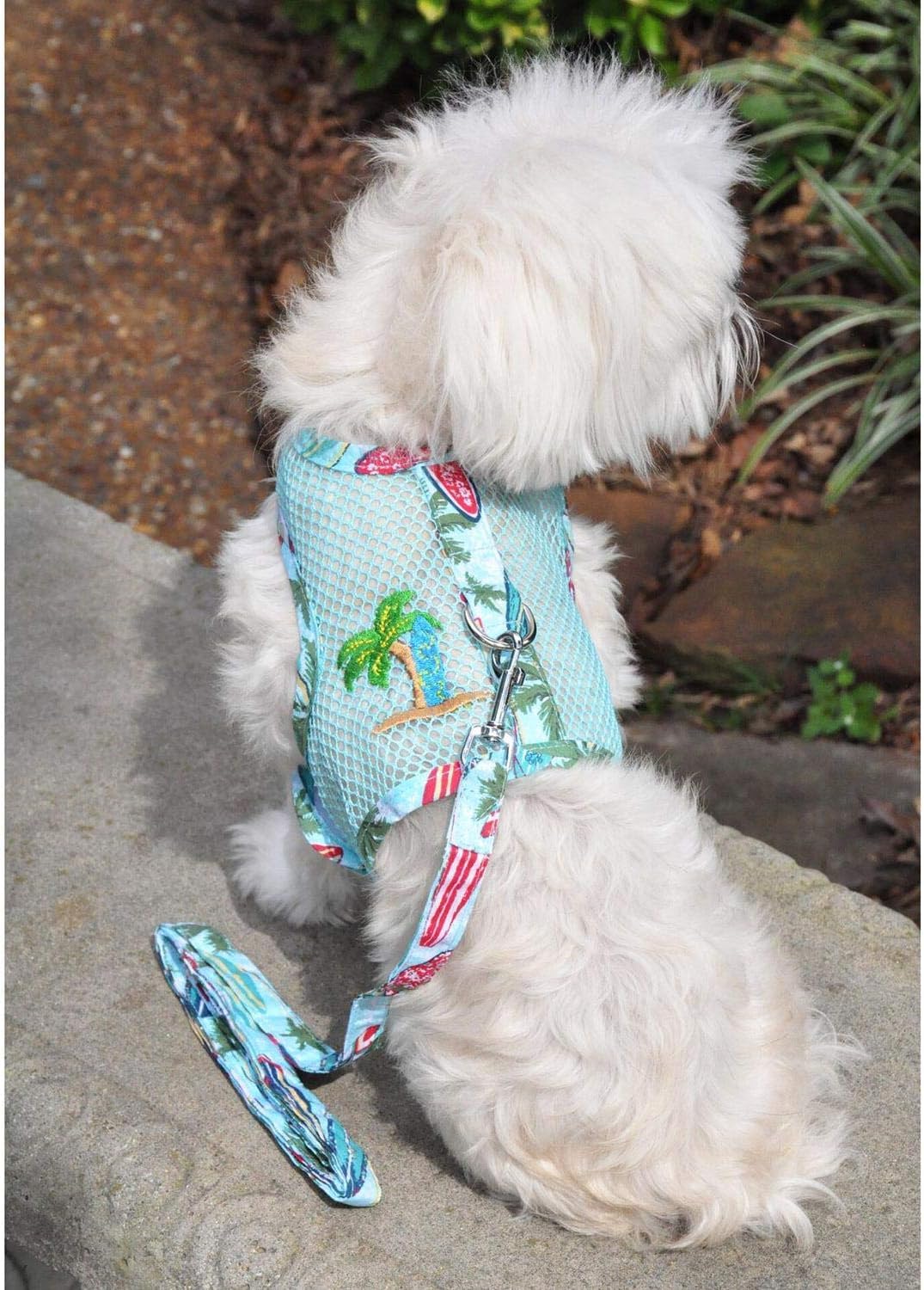 **Cool Mesh Dog Harness for Medium Dogs – Breathable Step-in Design with Leash Attachment – Perfect for Walking, Hiking & Beach Adventures**