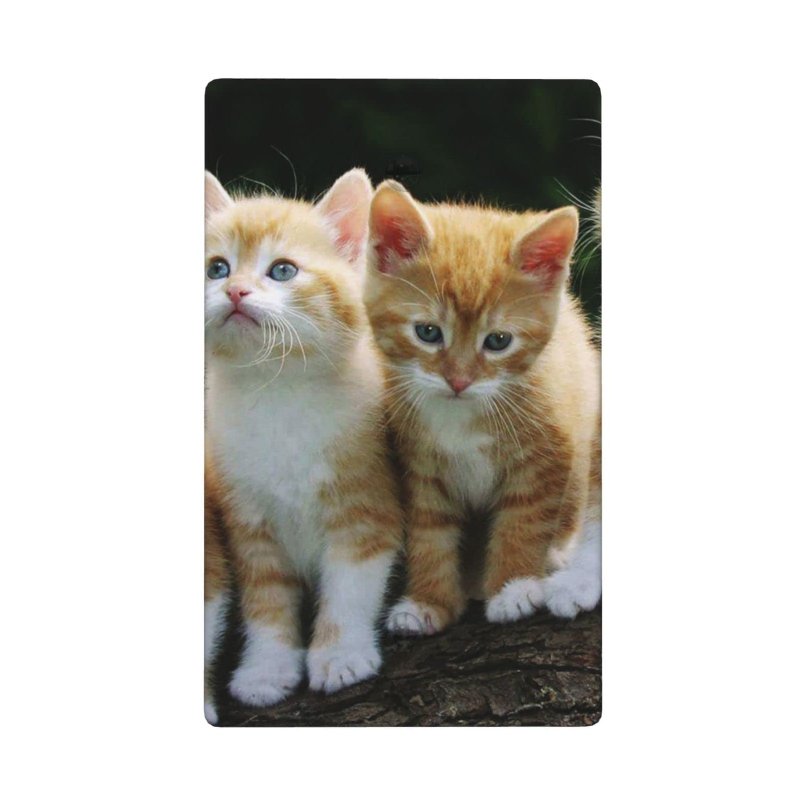 Decorative Cat Blank Wall Plate Light Switch Cover - 1-Gang No Device, Standard Size for Kitchen & Room Decor - Perfect for Pet Lovers' Home & Office Spaces