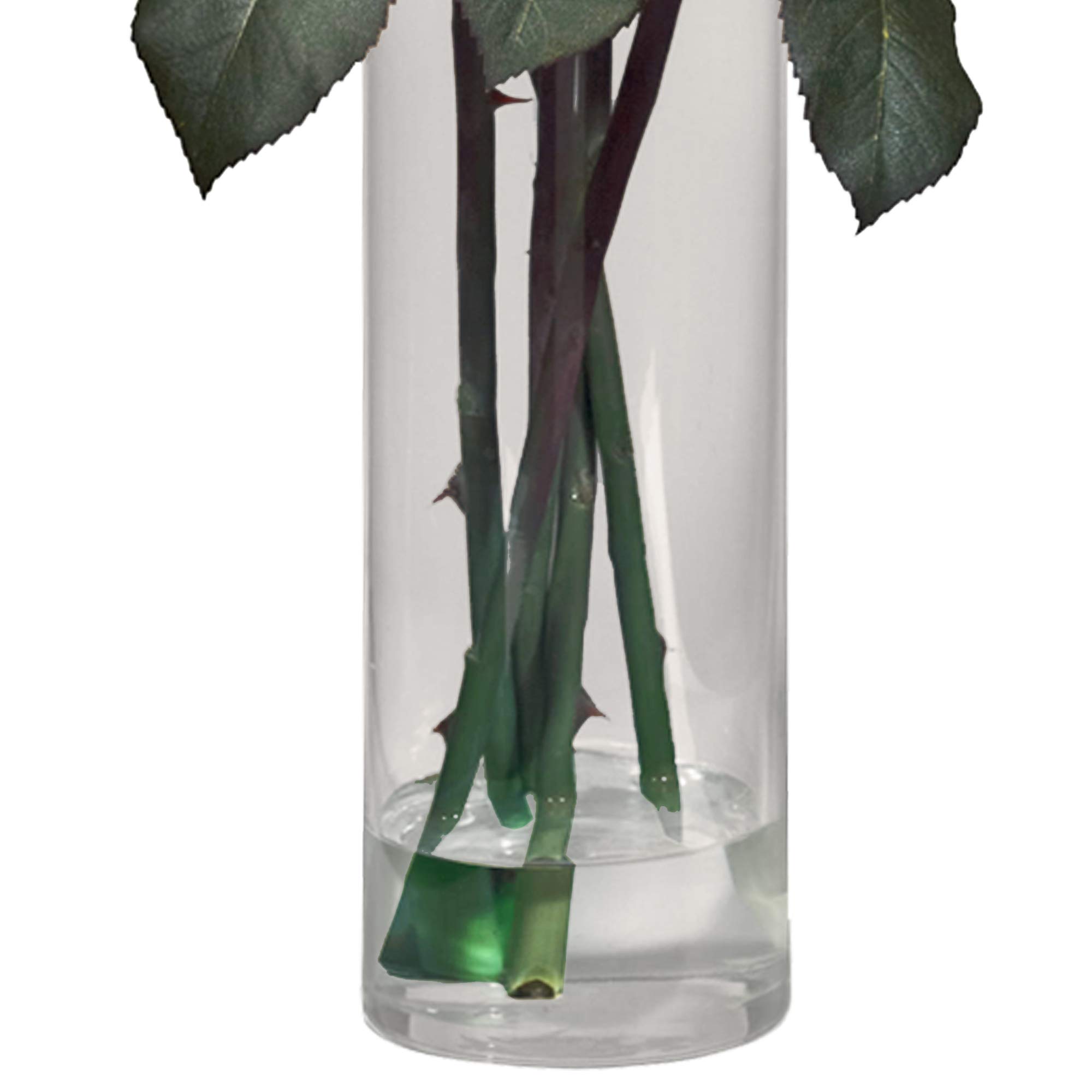 Nearly Natural Realistic Silk Rose Flower Arrangement in Cylinder Vase - Elegant Home Decor for Living Room, Wedding Centerpiece & Office Desk