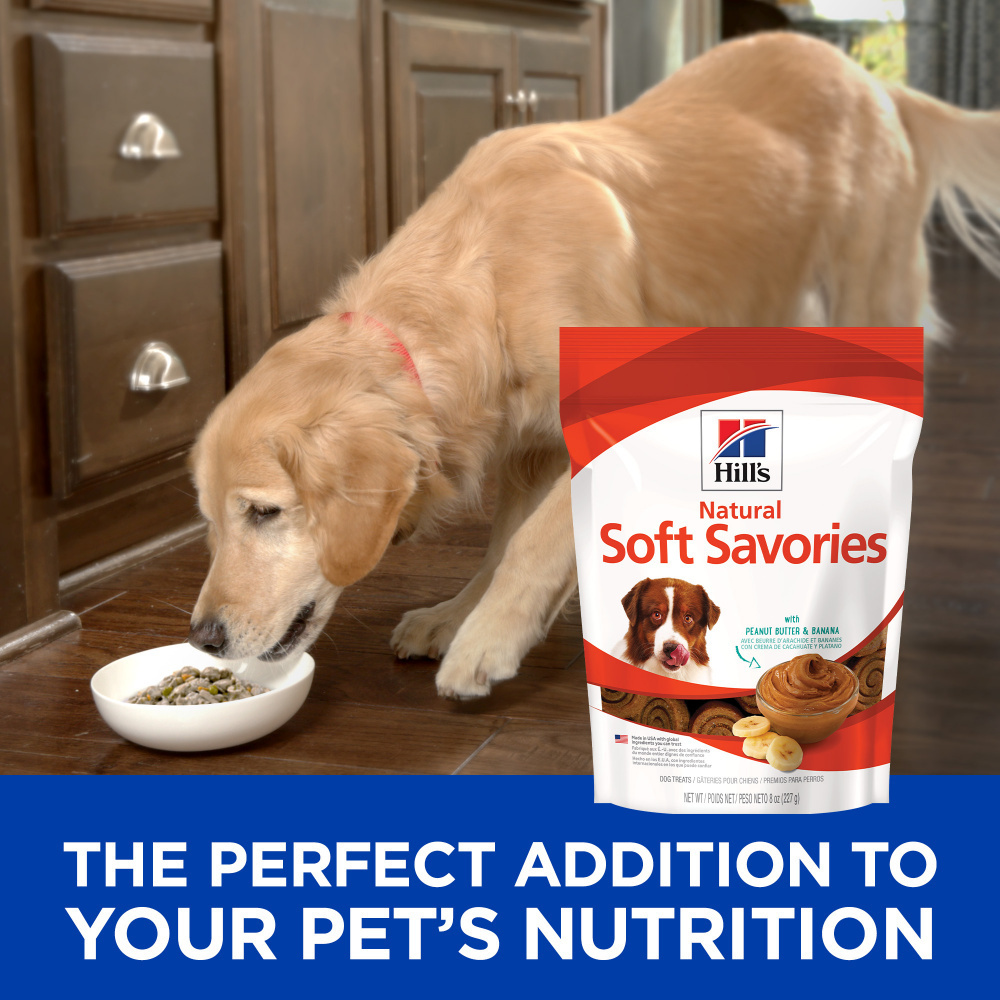 Hill's Science Diet Soft Savories Peanut Butter & Banana Flavor Dog Treats - Healthy Snacks for Training, Rewards & Dental Care | Perfect for Small, Medium & Large Dogs