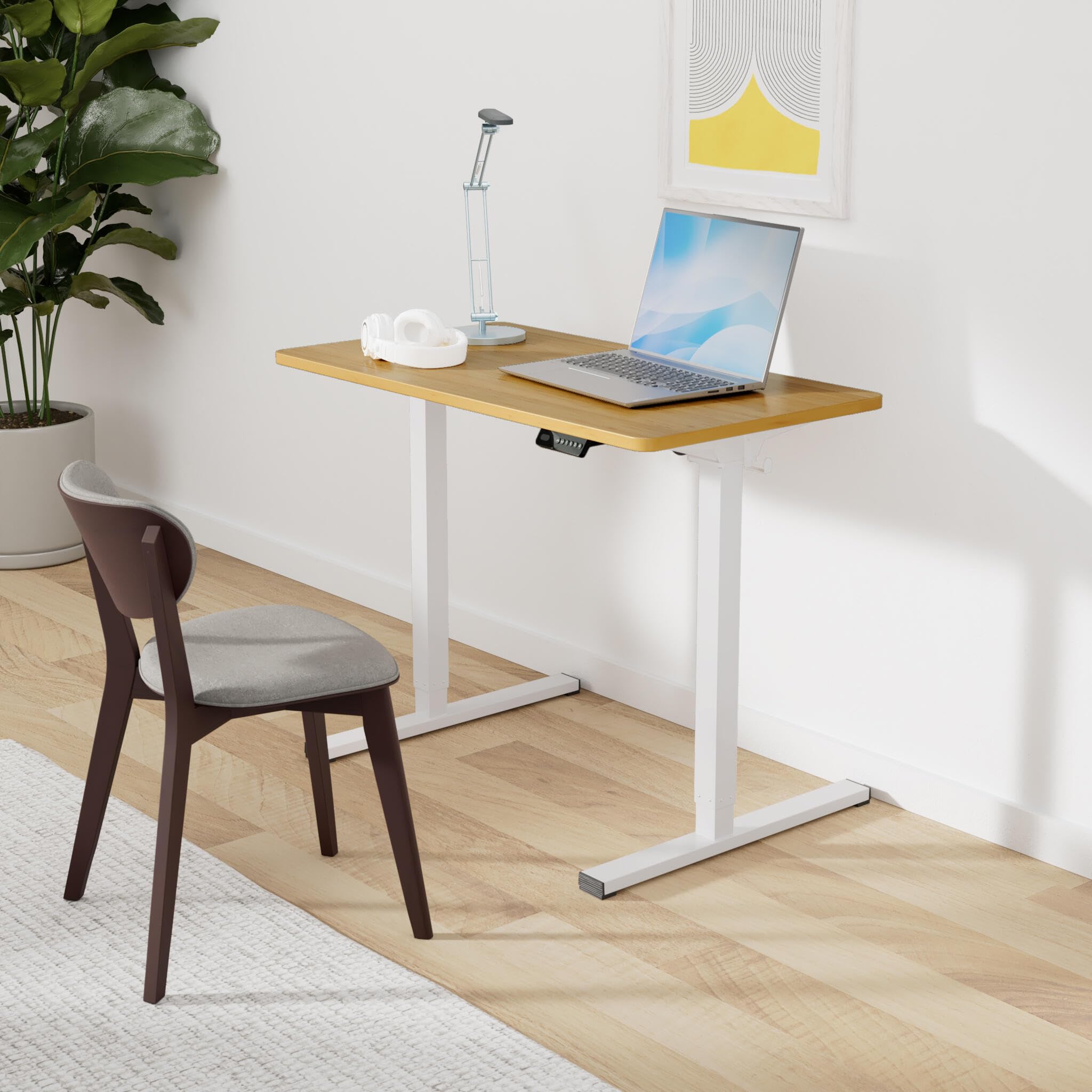 FLEXISPOT Electric Standing Desk - 40