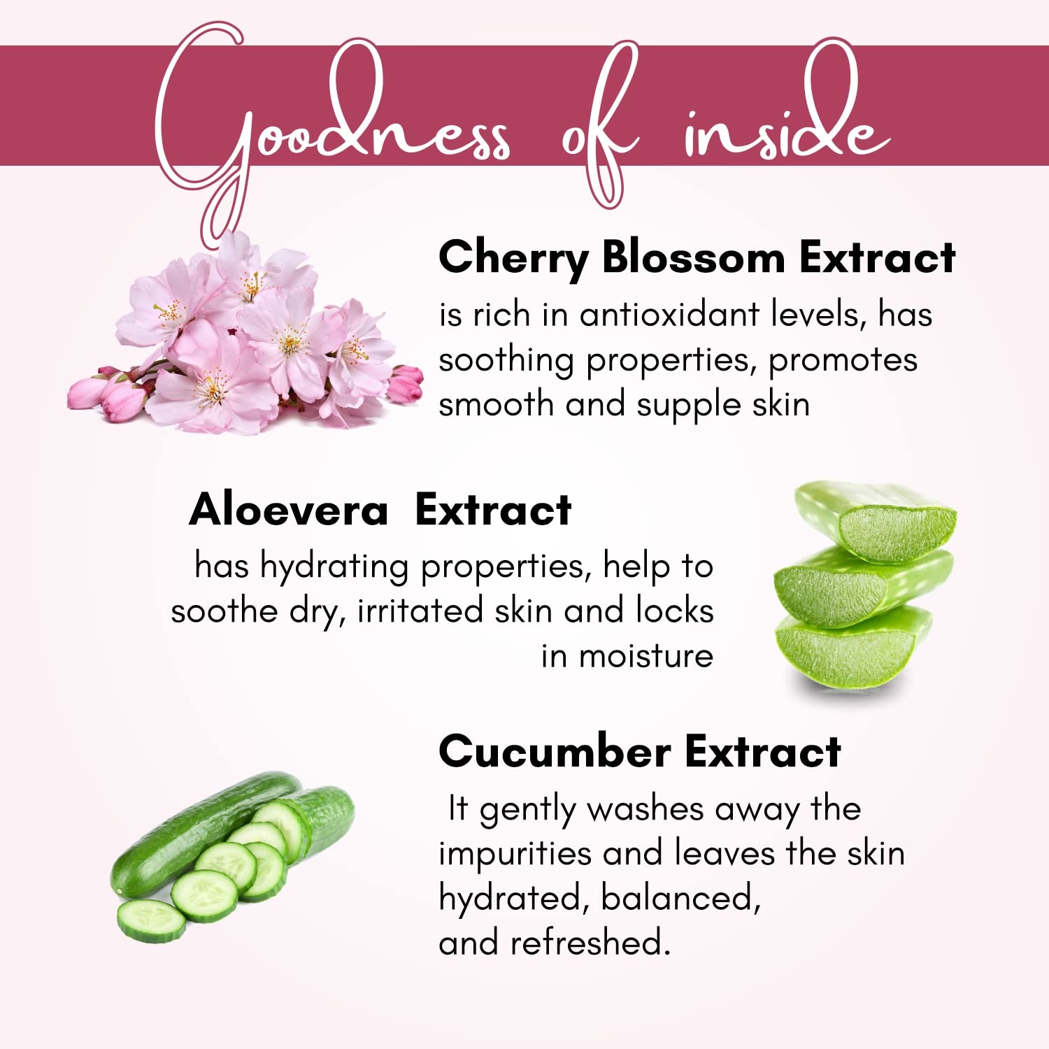 Orgello Cherry Blossom Shower Gel for All Skin Types - Hydrating & Moisturizing Body Wash, Paraben & Silicone Free, 300ml - Perfect for Daily Shower & Spa Relaxation at Home