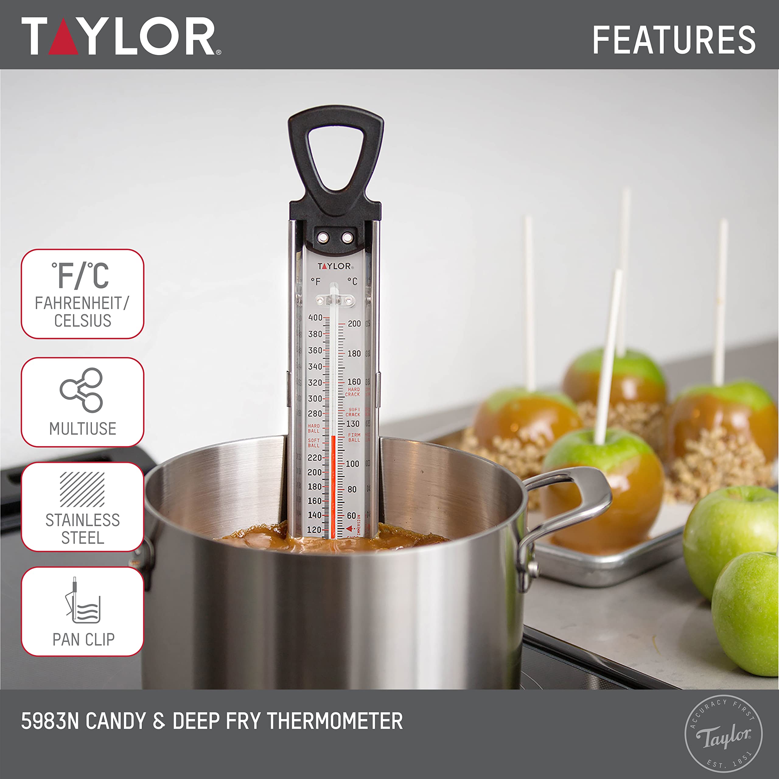 Taylor 12