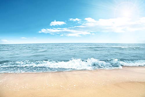 Ocean N107