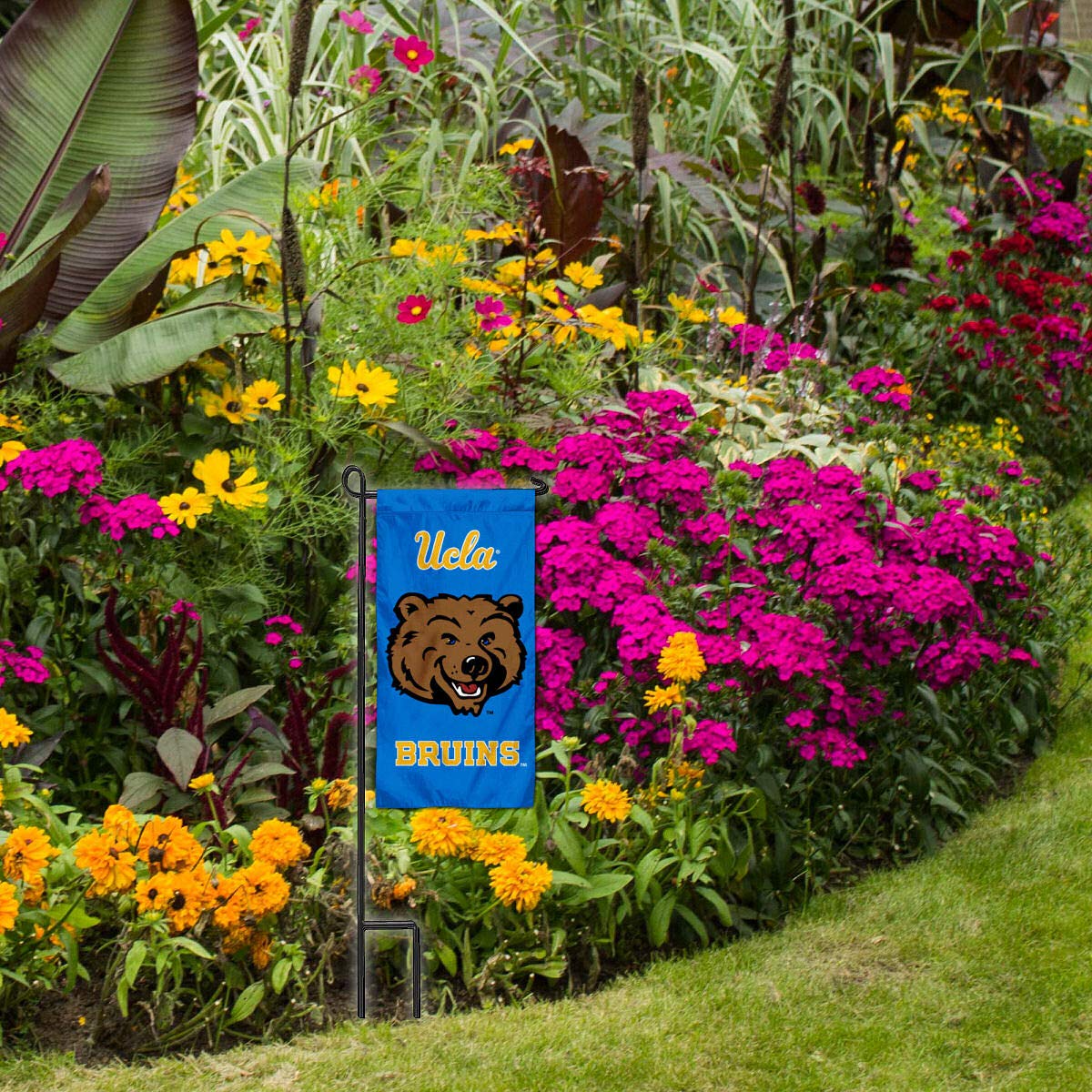 UCLA Bruins Mini Garden Flag & Flower Pot Topper - Decorative College Flags for Outdoor & Indoor Use - Perfect for Game Day, Graduation, and Campus Decor