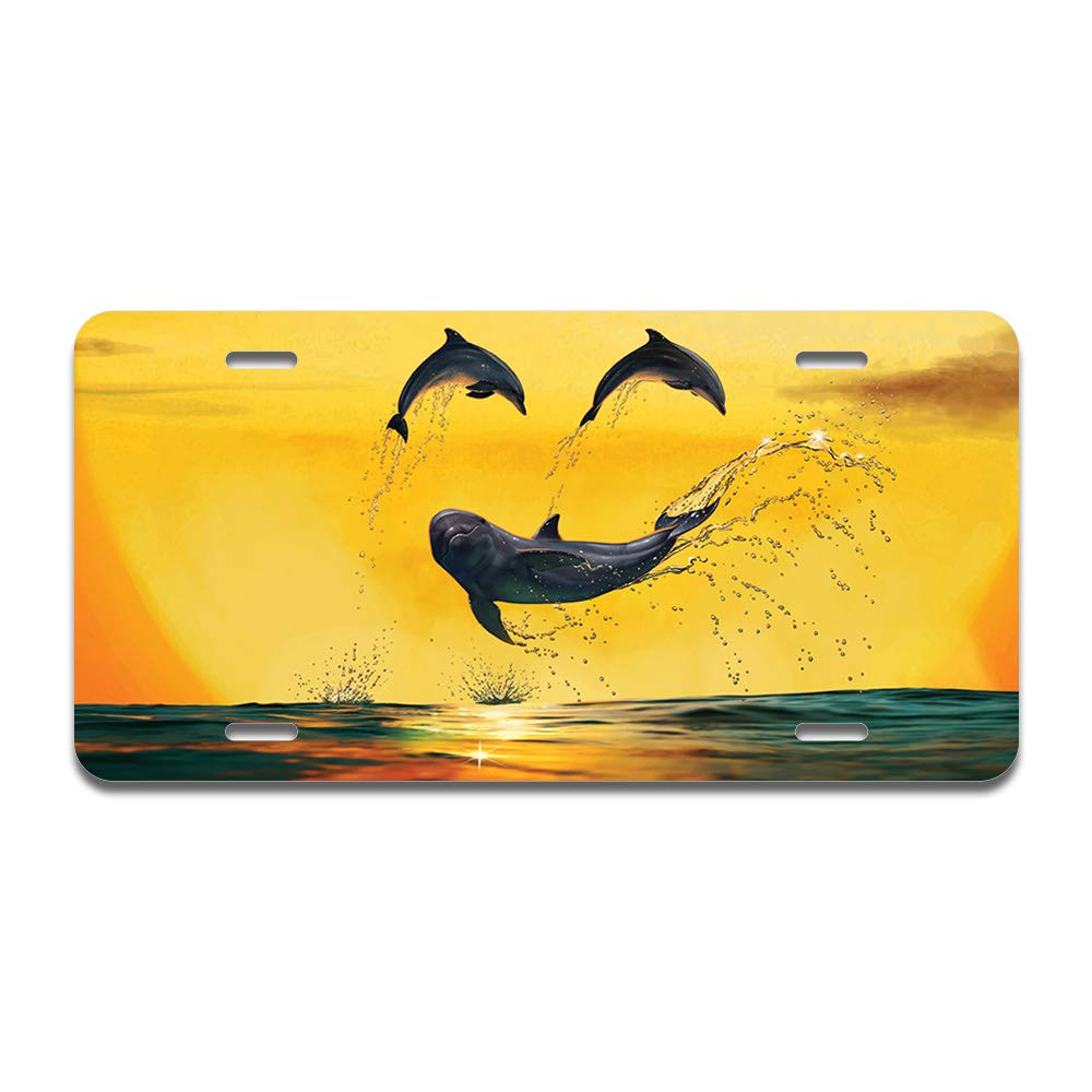 Dolphin Smiley Aluminum License Plate - 12