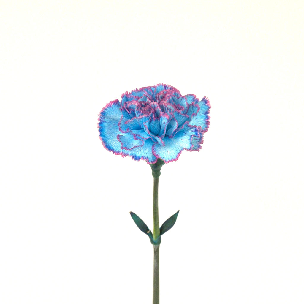 Blue Raspberry Carnation Flowers - Artificial Silk Floral Arrangement for Home Decor, Wedding Centerpieces & Party Decorations