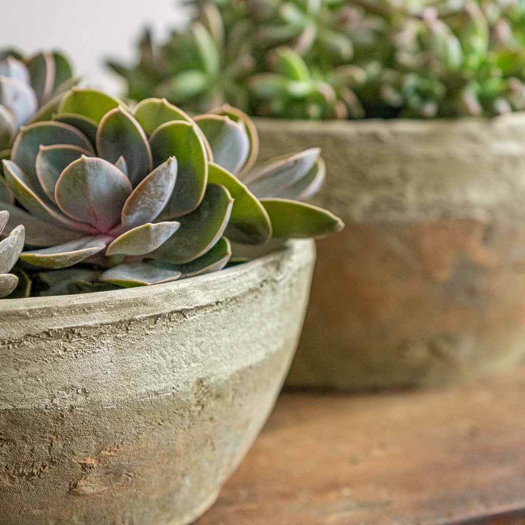 Campania International Farmer’s Bowl Planter Set - 12 Inch Ceramic Garden Planters for Indoor Outdoor Plants, Flowers & Herbs - Perfect for Patio, Balcony, and Home Decor