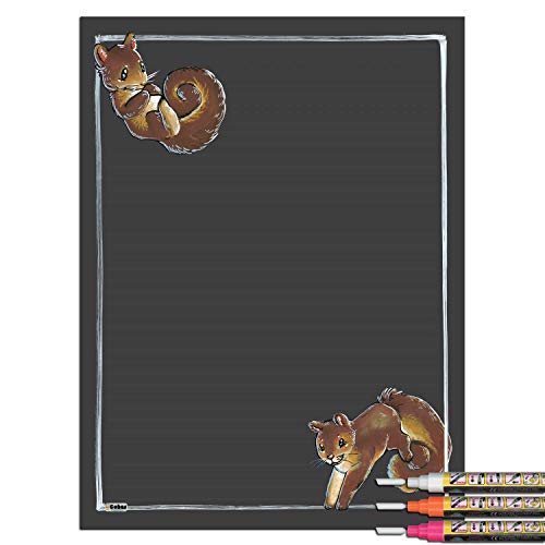 Squirrel With 3 Bright Markers