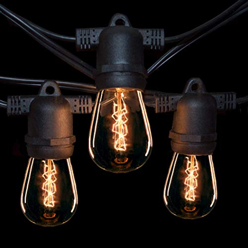 S14 Zig Zag Edison 11 Watt Bulbs