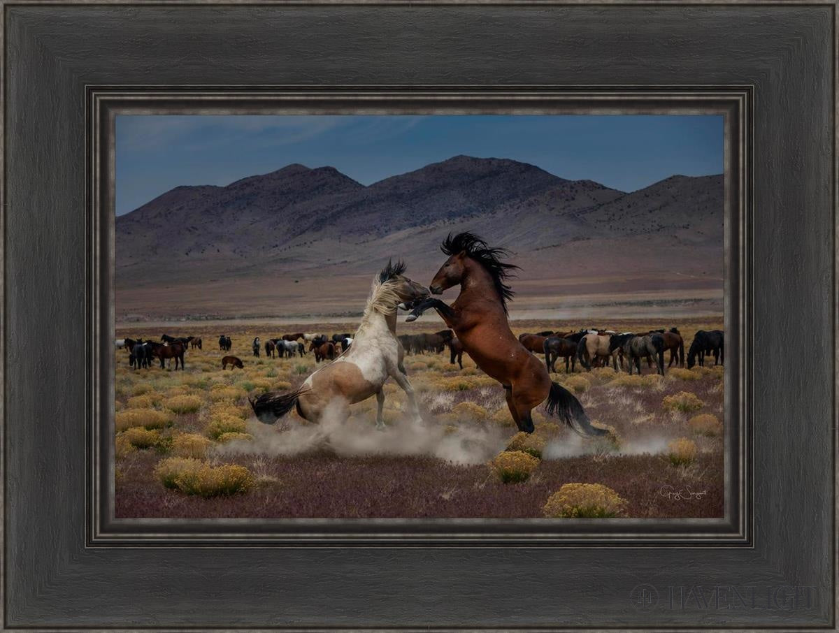 Desert Duel 5 by Greg Sargent - Western Action Novel - Perfect for Book Clubs & Cowboy Adventure Fans