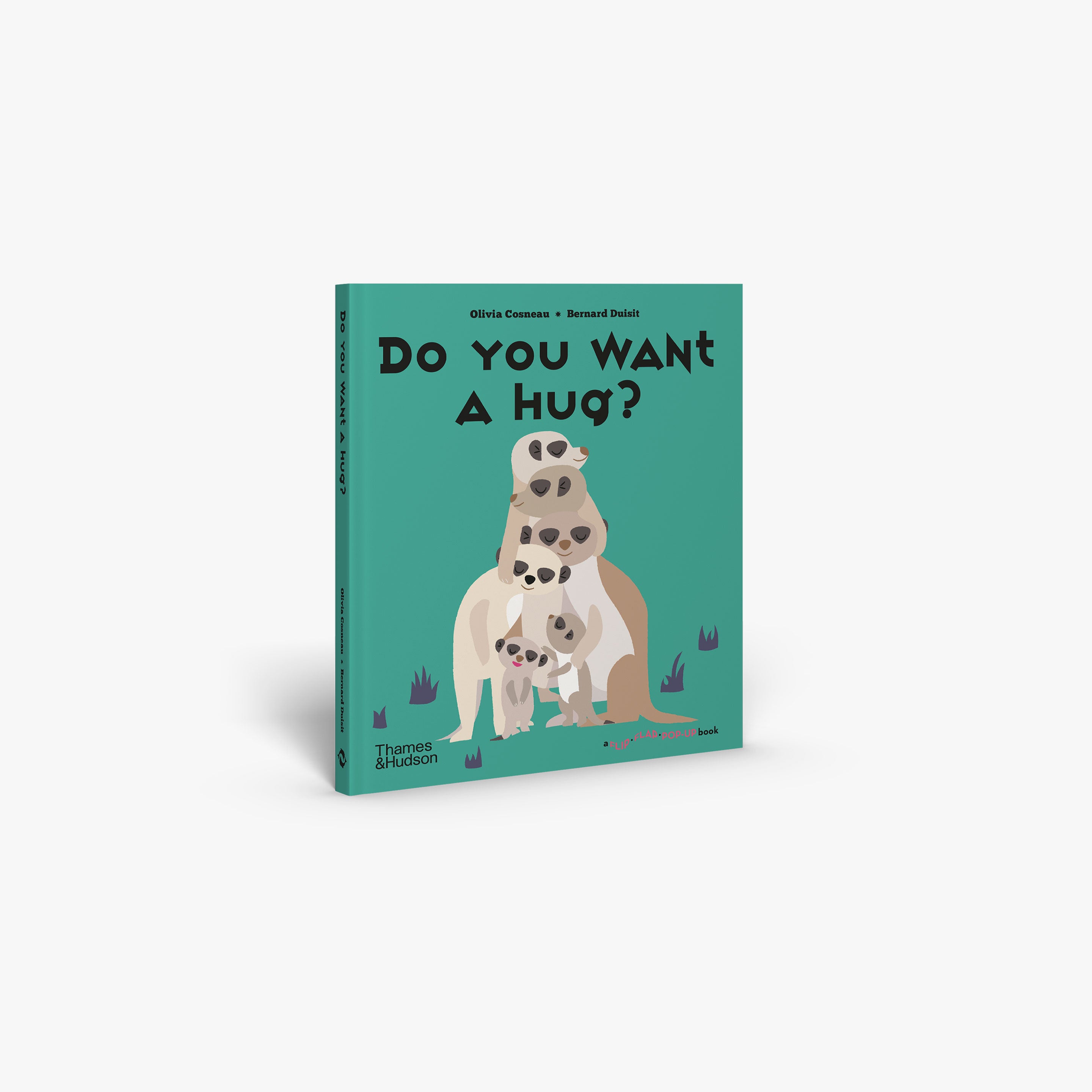 Do You Want a Hug? - Interactive Flip Flap Pop-Up Book for Kids | Fun Storytime & Bedtime Reading | Perfect Gift for Toddlers & Preschoolers