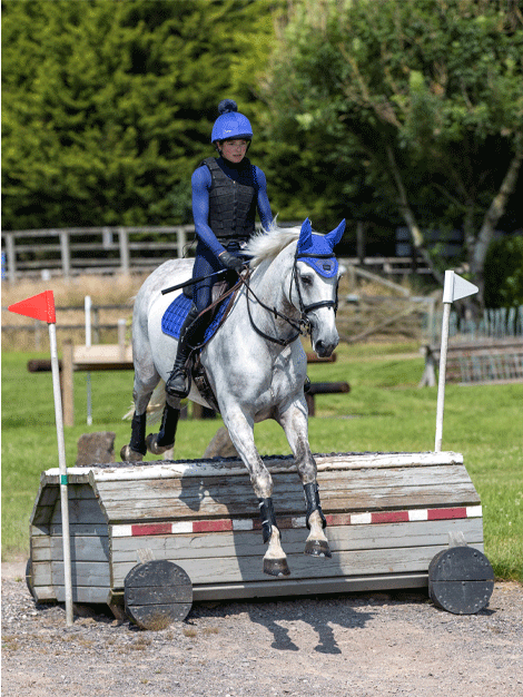 Le Mieux Spectrum Fly Hood - Lightweight Horse Fly Mask with UV Protection - Perfect for Riding, Training & Pasture Turnout