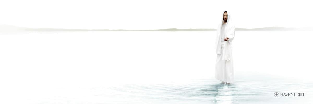 Blue - Premium Quality Product for Home Decor & Gifting | Stylish & Versatile for Living Rooms, Bedrooms, and Offices